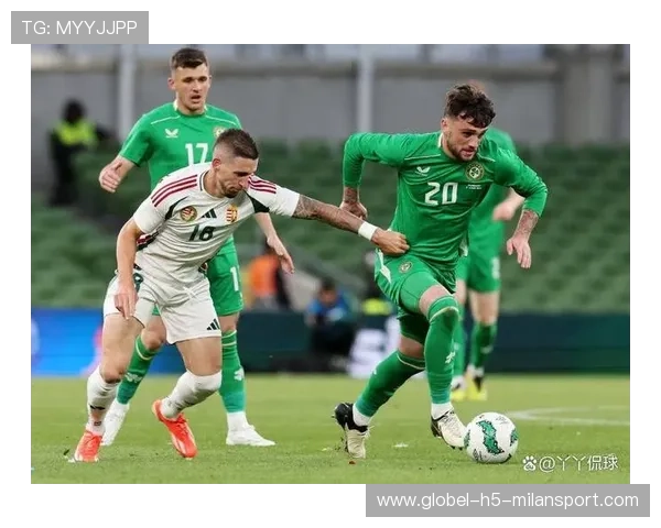 世预赛焦点：匈牙利对爱尔兰、欧洲区关键战预览