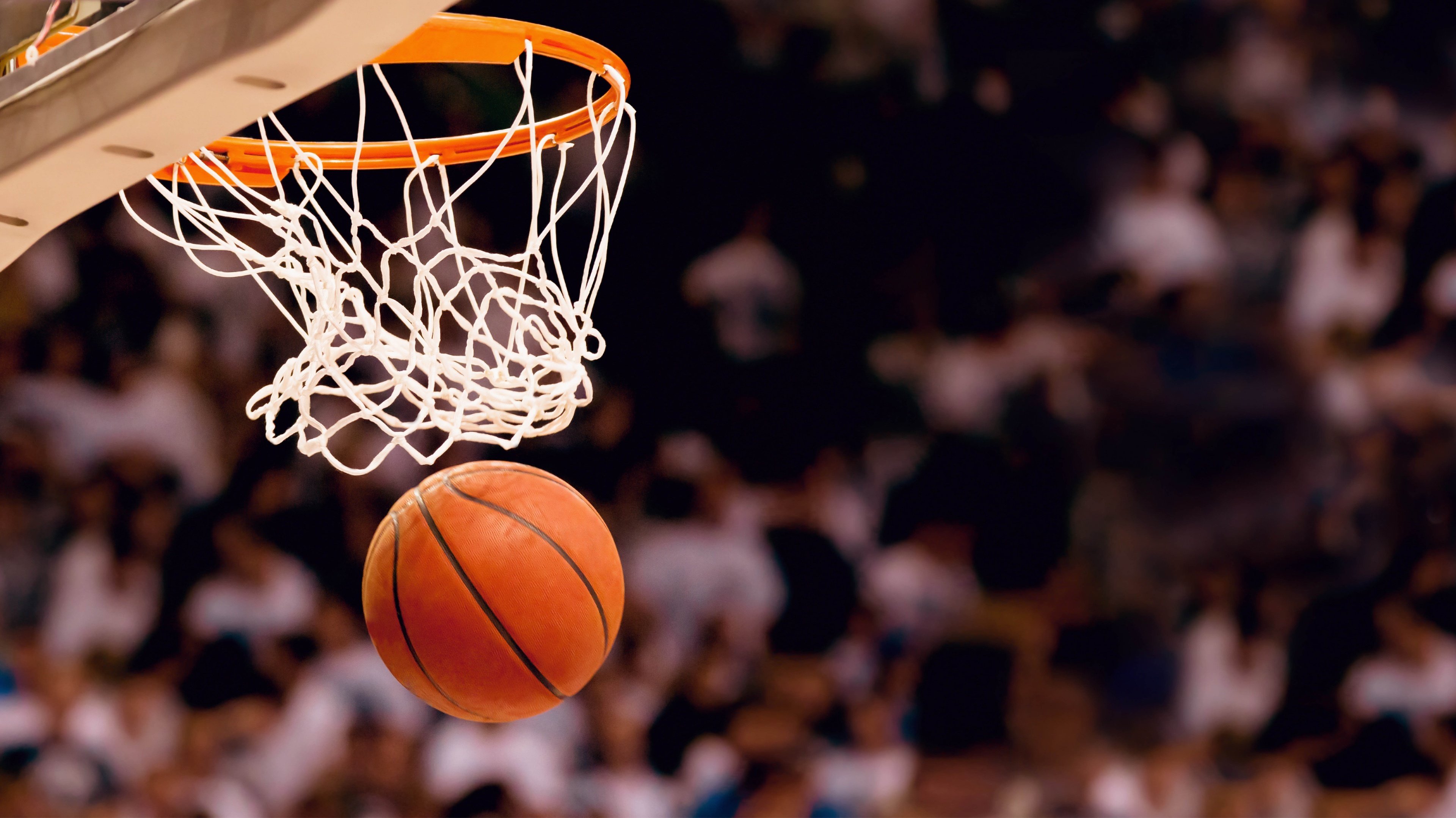 飞身救球的拼命：扑出场外，球救回来了，nba飞身救球